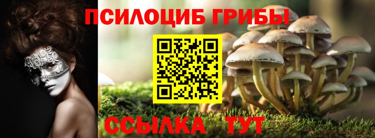 Псилоцибиновые грибы MAGIC MUSHROOMS Чусовой